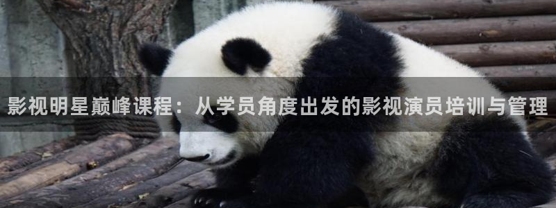 vr轨道影院：影视明星巅峰课程：从学员角度出发的影视演员培训与管理