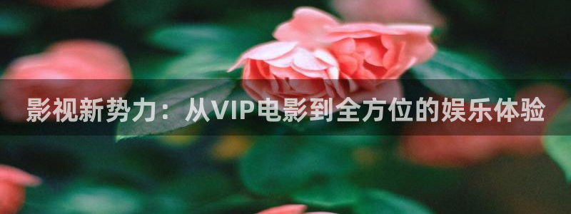 基本轨道电影：影视新势力：从VIP电影到全方位的娱乐体验