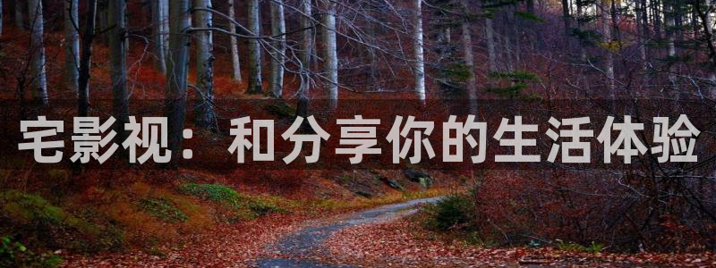 环幕轨道飞行影院