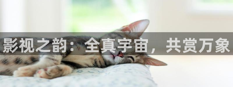 轨道影院飞行影院