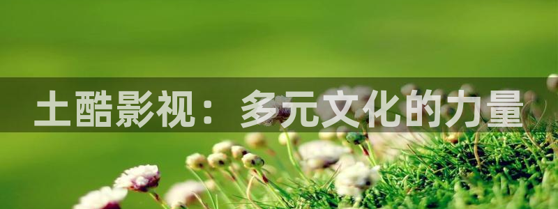 轨道影院生产厂：土酷影视：多元文化的力量