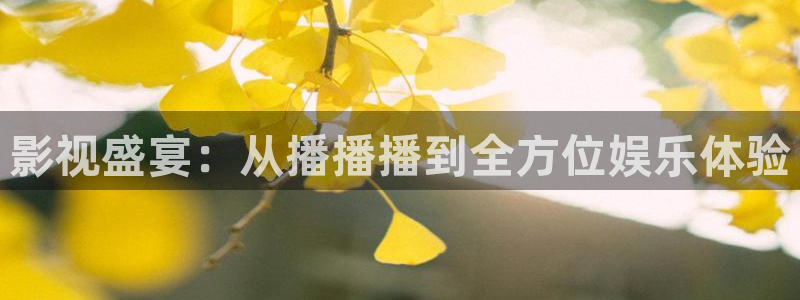 轨道环幕影院：影视盛宴：从播播播到全方位娱乐体验